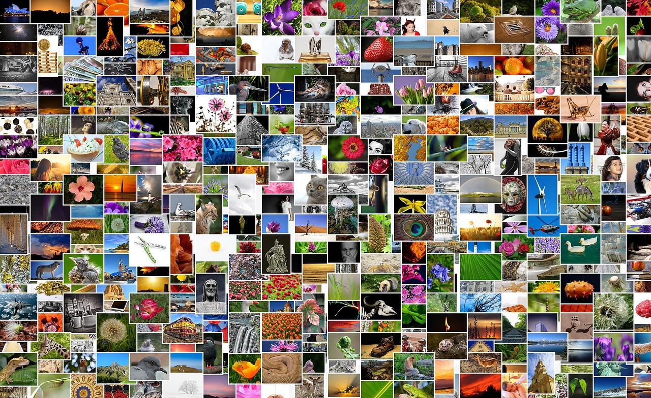 新奥彩2024最新资料大全,惊蛰剧情电视猫,Surface28.29.98